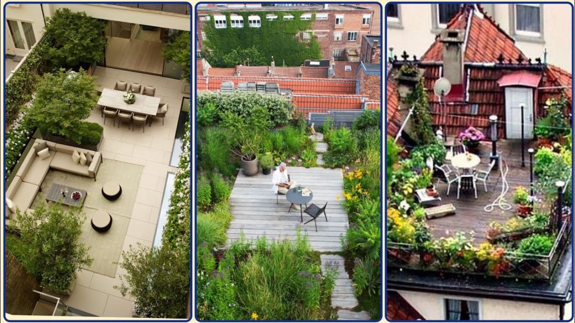 Unique Rooftop - Garden Very Beautiful & Decent Garden Designs