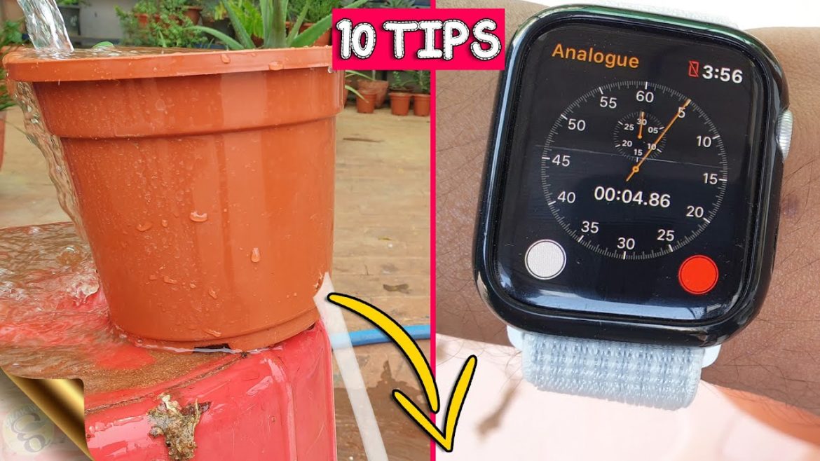 10 IMPORTANT GARDENING TIPS FOR RAINY SEASON 2020 10 IMPORTANT GARDENING TIPS FOR RAINY SEASON 2020