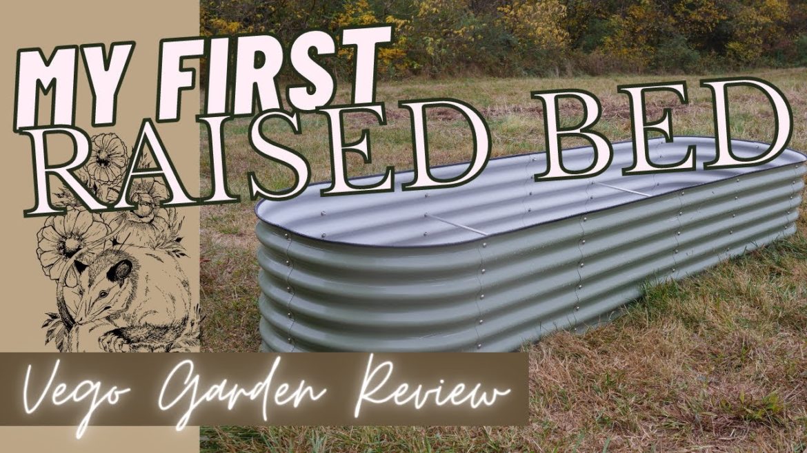 BUILDING MY FIRST RAISED GARDEN BED! #VegoGarden Raised Beds at the New Farm! | Backyard Flower Farm BUILDING MY FIRST RAISED GARDEN BED! #VegoGarden Raised Beds at the New Farm! | Backyard Flower Farm