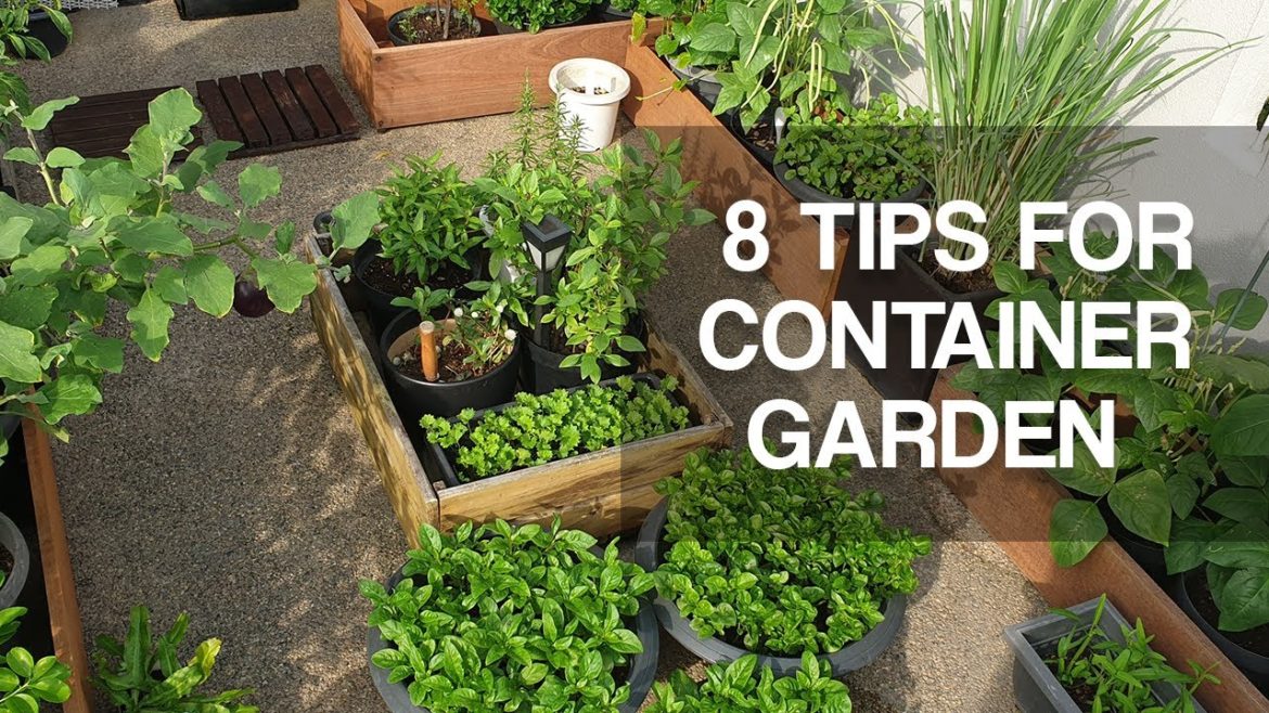 MY 8 TIPS TO START CONTAINER GARDENING | for beginners MY 8 TIPS TO START CONTAINER GARDENING | for beginners