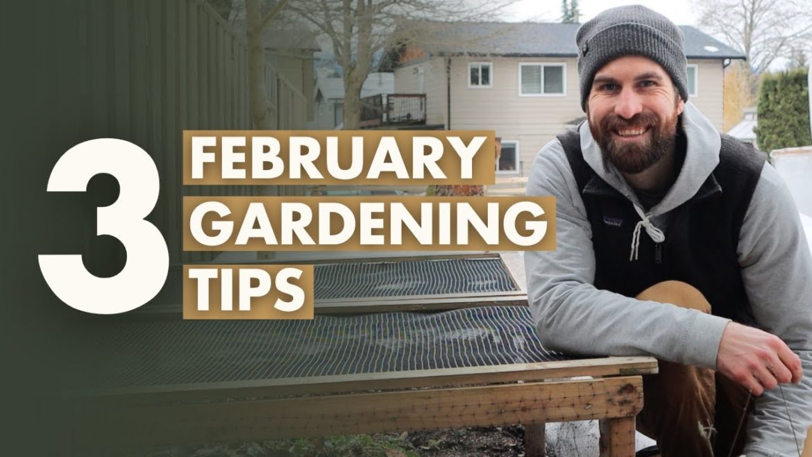 3 February Gardening Tips