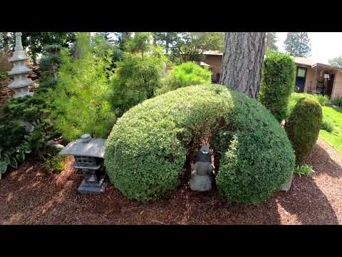 Wabi Sabi Japanese Garden Summer Walk Through Wabi Sabi Japanese Garden Summer Walk Through