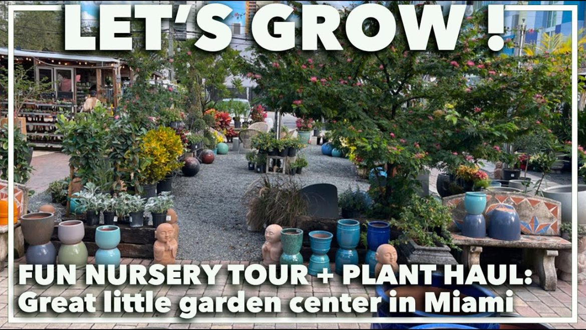 TOUR OF GARDEN CENTER: Visit to a Miami nursery with tips on picking the right plants TOUR OF GARDEN CENTER: Visit to a Miami nursery with tips on picking the right plants
