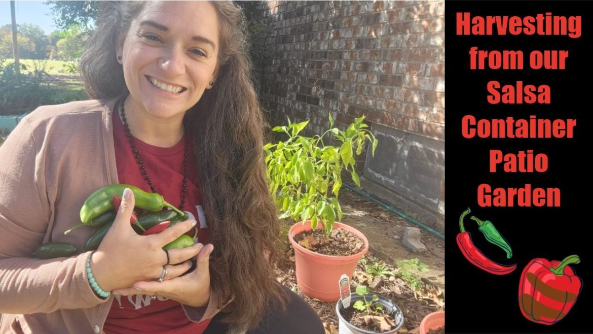 How to Grow a Patio Container Garden | Salsa Garden | Harvest and End of Season | Se 8 Ep 84 How to Grow a Patio Container Garden | Salsa Garden | Harvest and End of Season | Se 8 Ep 84