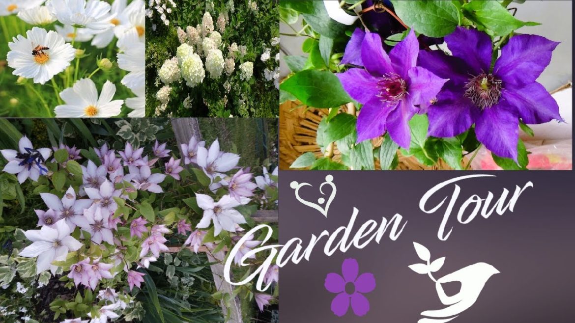 June 7, 2022, Front Yard Garden Tour June 7, 2022, Front Yard Garden Tour