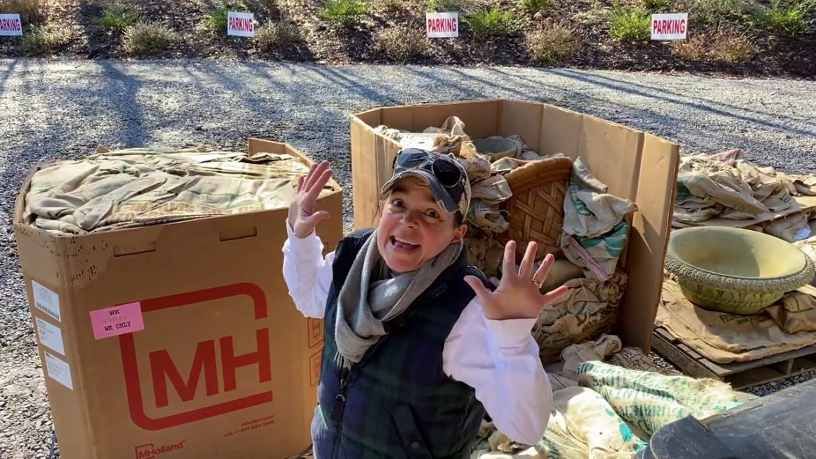 Unique Stone Unboxing // Gardening with Creekside Unique Stone Unboxing // Gardening with Creekside