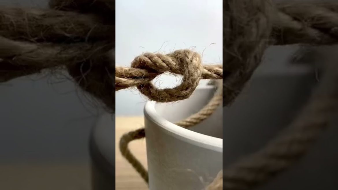 Indoor Gardening Hacks - Indoor Planting Tips