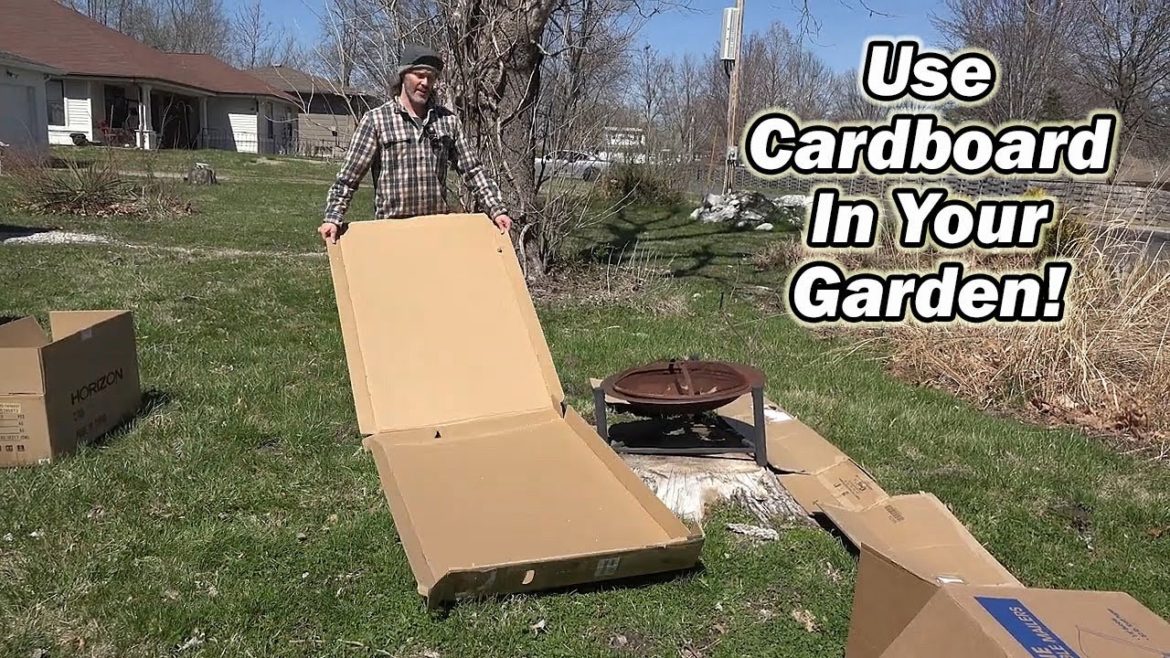 Gardening Tips, Tricks & Techniques – A Holmes Hobbies Helpful Video Gardening Tips, Tricks & Techniques - A Holmes Hobbies Helpful Video