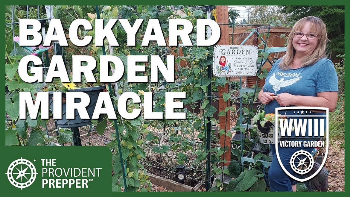 WWIII Victory Garden: Barb's Beautiful Backyard Garden Miracle of Helping Hands WWIII Victory Garden: Barb's Beautiful Backyard Garden Miracle of Helping Hands