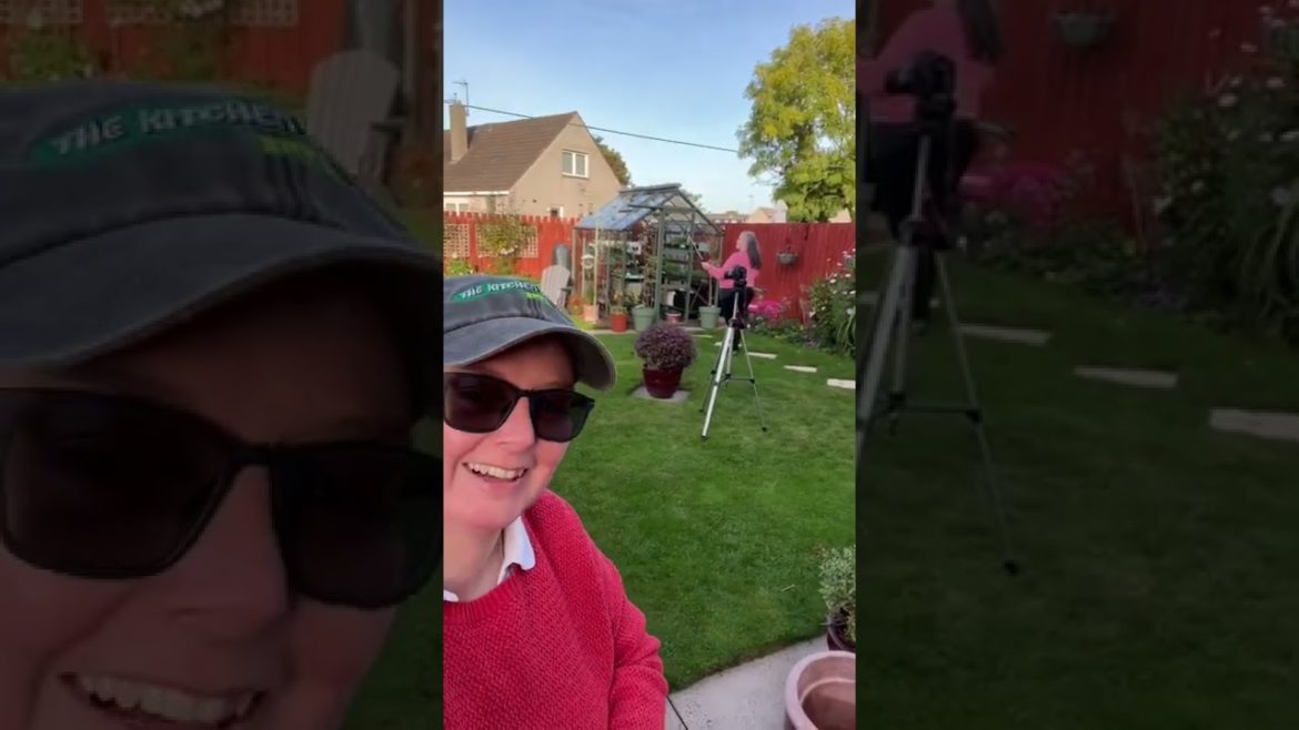 Letting another YouTube channel into my garden Letting another YouTube channel into my garden
