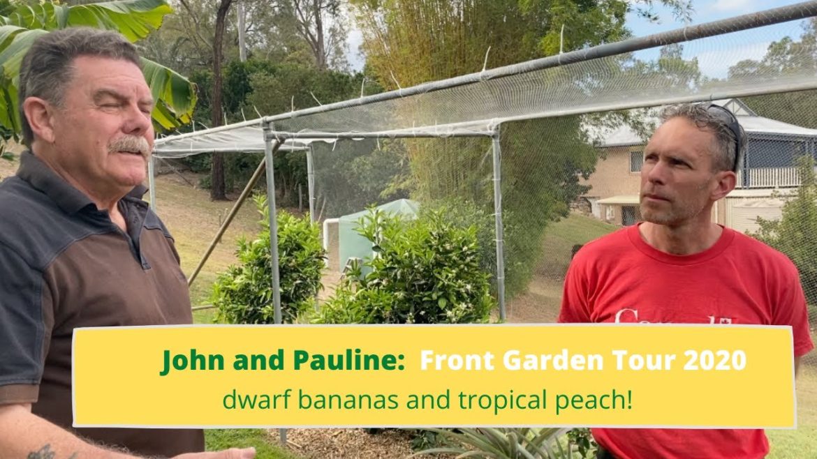 John and Pauline | Edible Garden Tour 2020 | Dwarf bananas, tropical peach and more