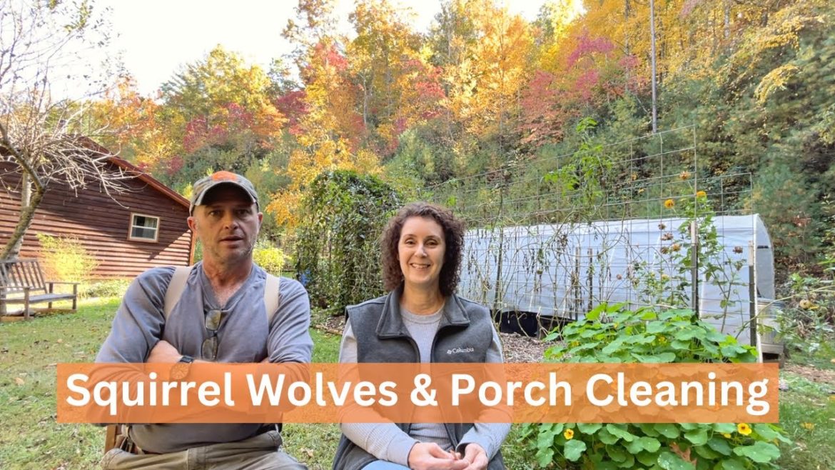 Battery Chainsaws, Porch Cleaning & Squirrel Wolves in Appalachia