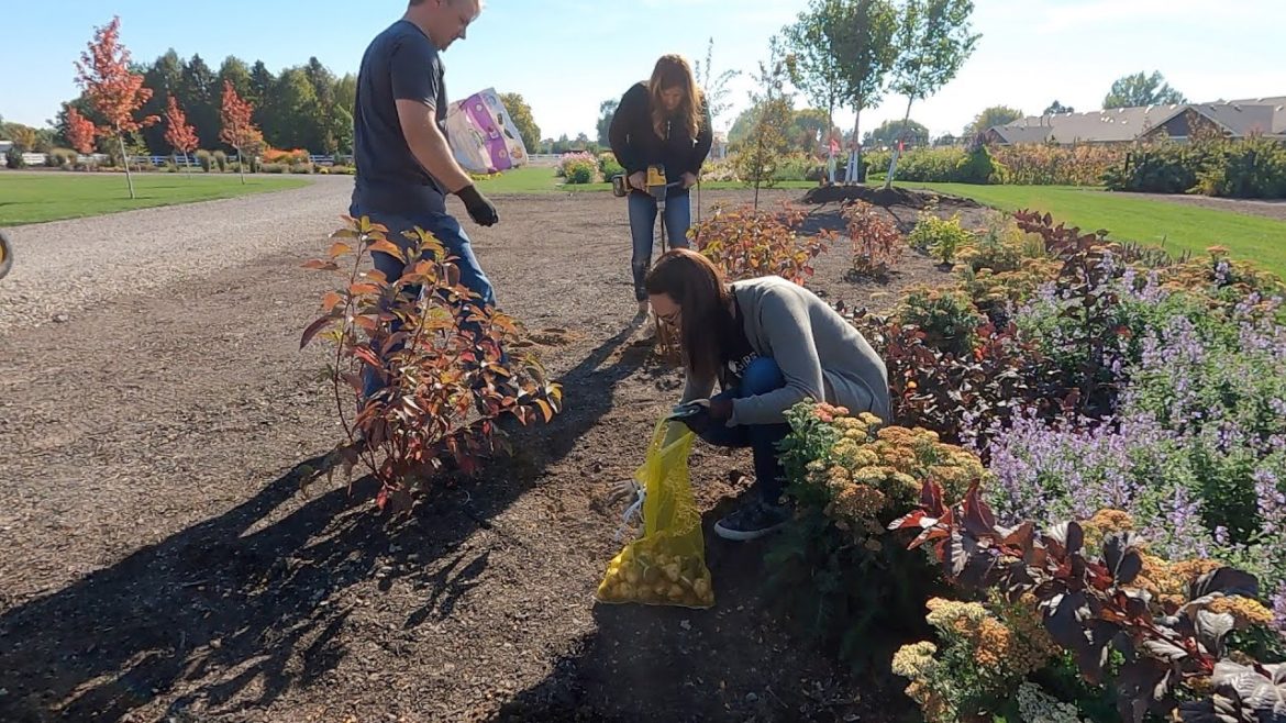 Garden Answer: Planting 2,500 Bulbs with Friends!!! 🥰🌷💗 // Garden Answer Planting 2,500 Bulbs with Friends!!! 🥰🌷💗 // Garden Answer