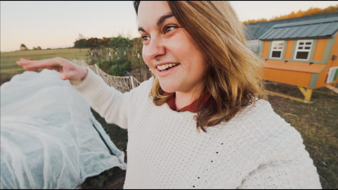 Roots and Refuge Farm: Will the garden be dead by morning? | VLOG Will the garden be dead by morning? | VLOG