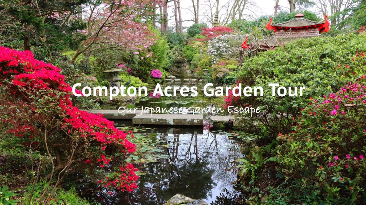 Japanese Garden Spring Tour – Compton Acres UK | Our Japanese Garden Escape Japanese Garden Spring Tour - Compton Acres UK | Our Japanese Garden Escape