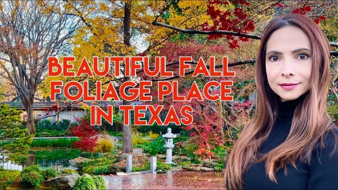 TRL 4 |Japanese Botanic Garden| Fort Worth |Texas |Fall Foliage’s| TRL 4 |Japanese Botanic Garden| Fort Worth |Texas |Fall Foliage’s|