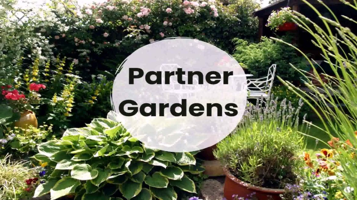 Japanese Garden Design Ireland