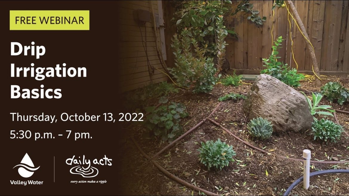 VW Webinar (English): Drip Irrigation Basics VW Webinar (English): Drip Irrigation Basics