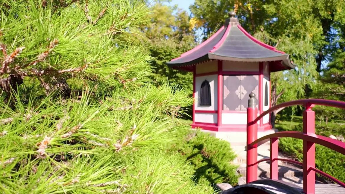 Japanese Garden Festival on September 23
