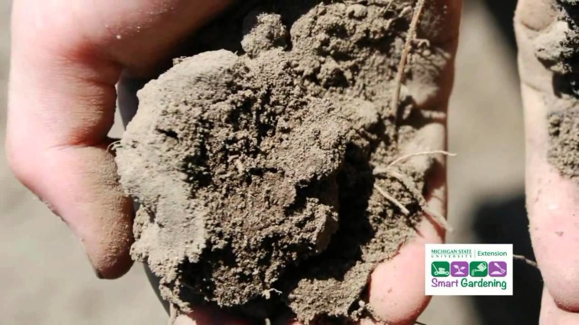 Smart Gardening: Soils