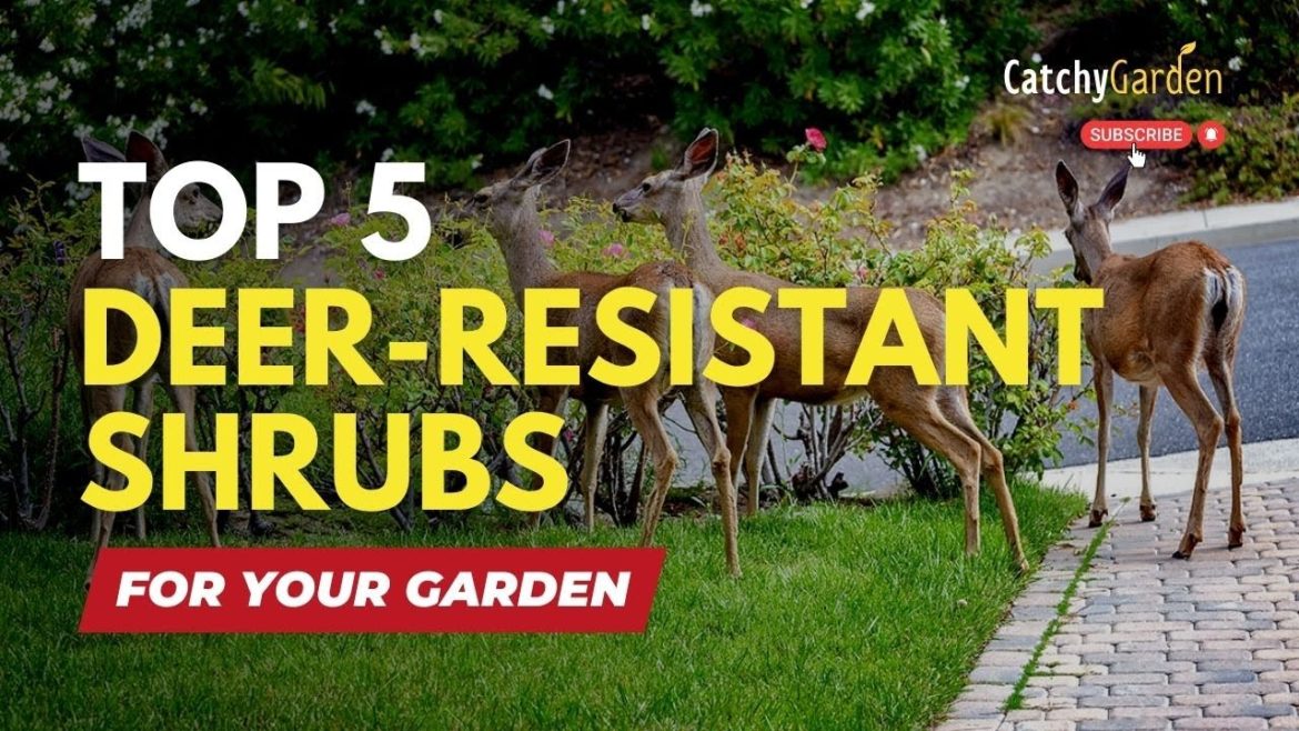 Top 5 Deer Resistant Shrubs for Your Garden or Landscape 🌱🌿🦌 // Gardening Tips