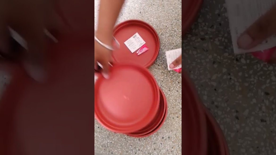 Garden Shopping! Pot trays. #shorts #viral #trending #pottray #shoppingvlog #nishthamahant Garden Shopping! Pot trays. #shorts #viral #trending #pottray #shoppingvlog #nishthamahant