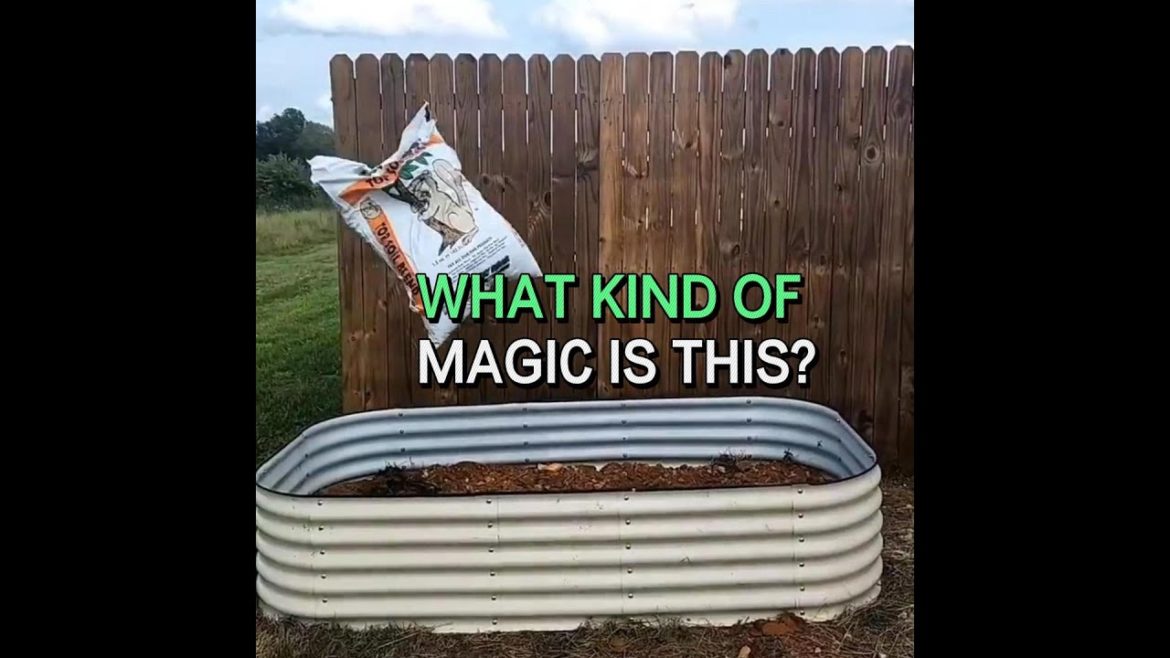 What kind of magic is this?- A garden bed just appeared.