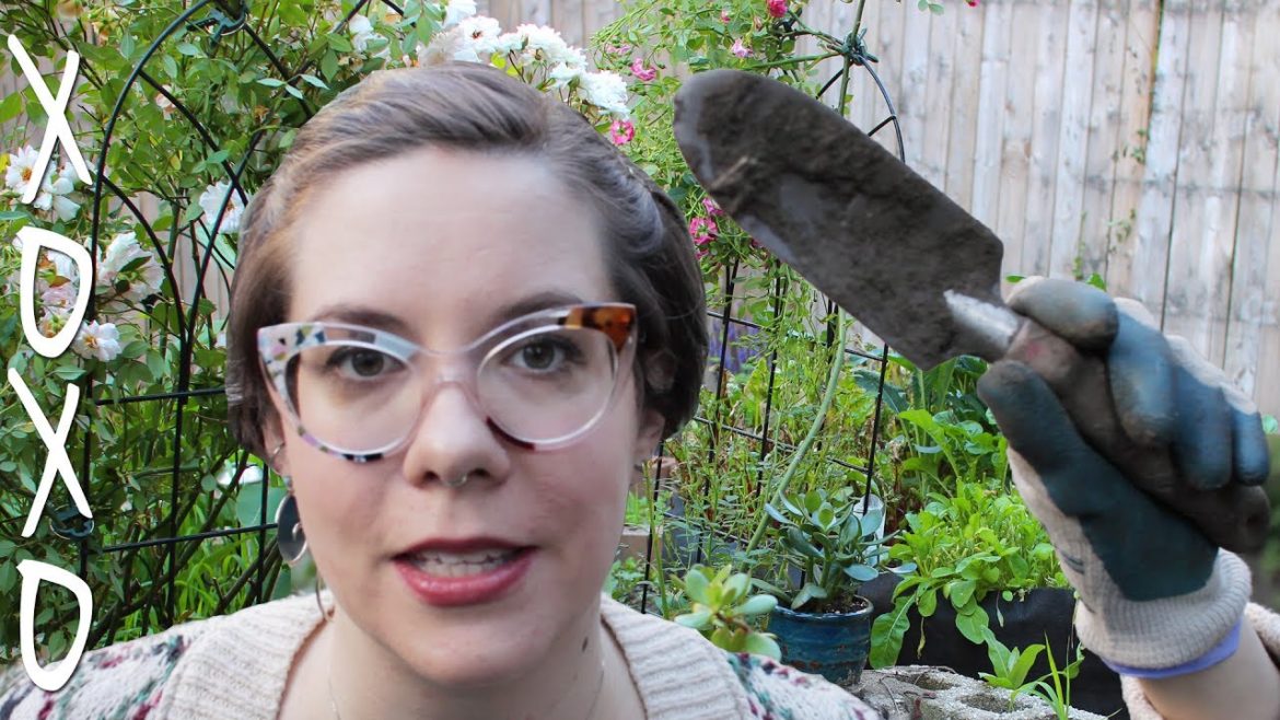 Gardening Tips 🌱 Brooklyn garden tour