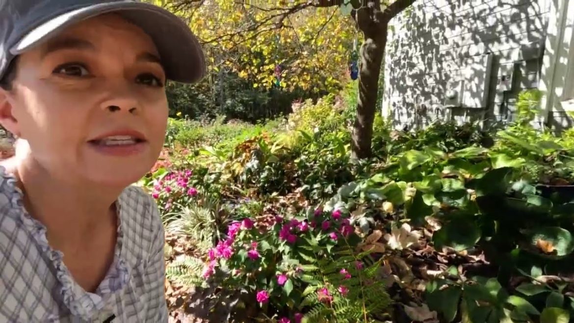 Fall Garden Cleanup Begins | Gardening with Creekside