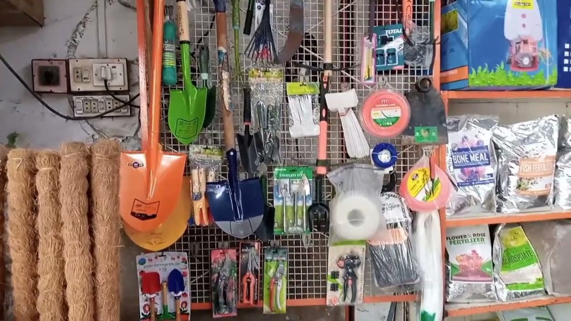 KitchenGardening#kitchengardening #flowers #safeplace#karachi #beautiful#tarracegarden#nature KitchenGardening#kitchengardening #flowers #safeplace#karachi #beautiful#tarracegarden#nature