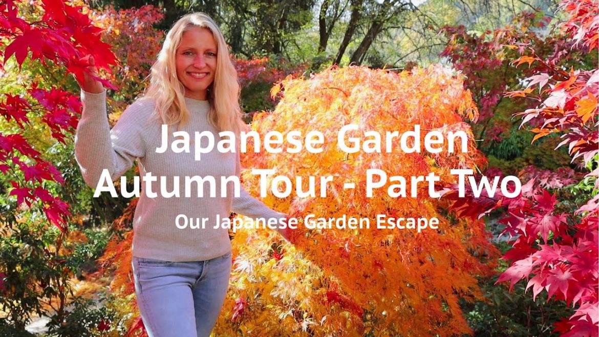 Japanese Garden Autumn Tour – Part Two | Our Japanese Garden Escape Japanese Garden Autumn Tour - Part Two | Our Japanese Garden Escape