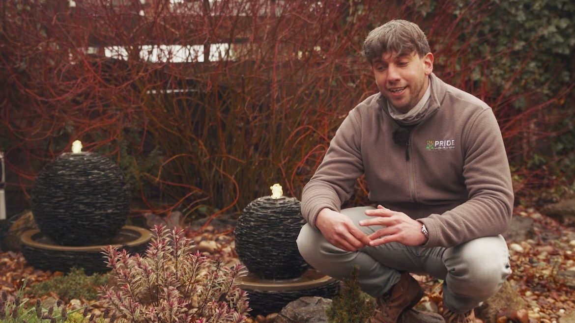 Garden Design Ideas: How to make the most of your garden all year round