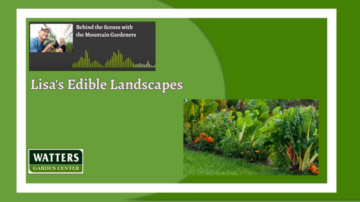Behind the Scenes with the Mountain Gardeners Lisa’s Edible Landscapes Behind the Scenes with the Mountain Gardeners Lisa’s Edible Landscapes