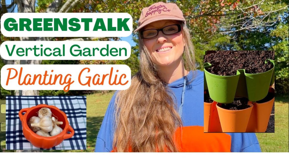 Planting Garlic in the GREENSTALK Vertical Garden | Strategize and Customize