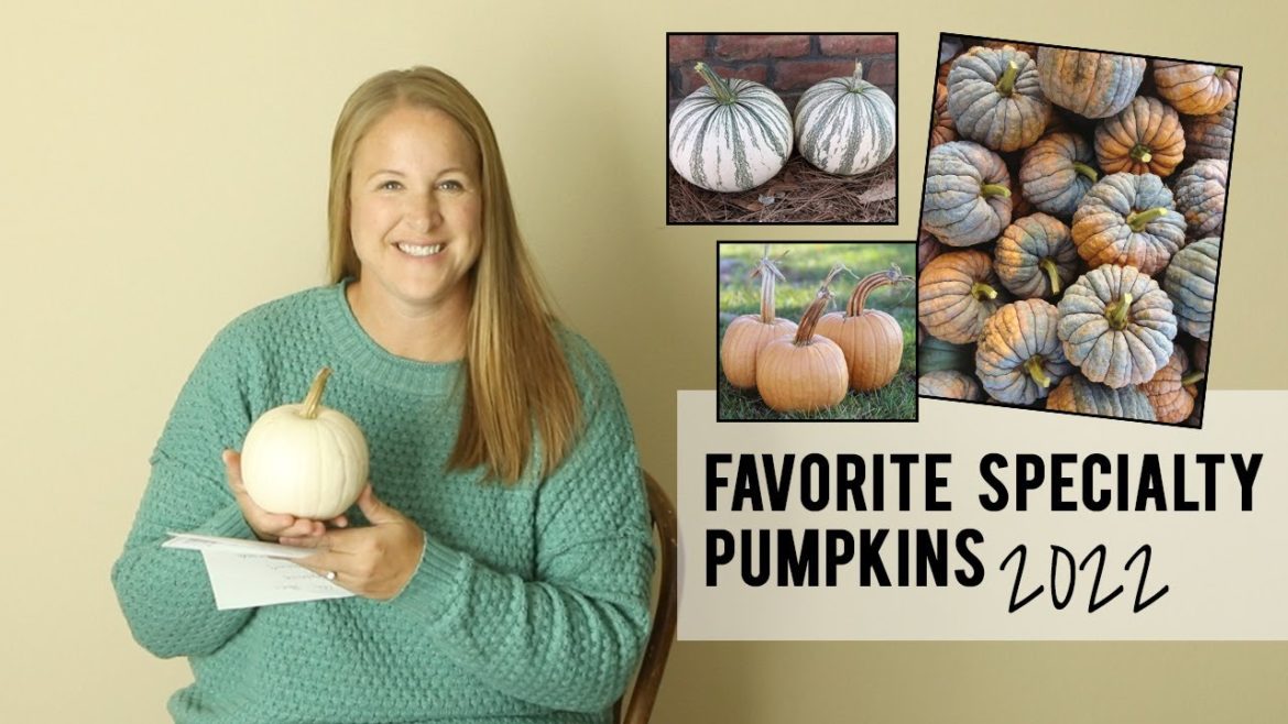 Favorite Specialty Pumpkin Varieties of 2022, and a few new ones for 2023!  Growing for Market Favorite Specialty Pumpkin Varieties of 2022, and a few new ones for 2023!  Growing for Market