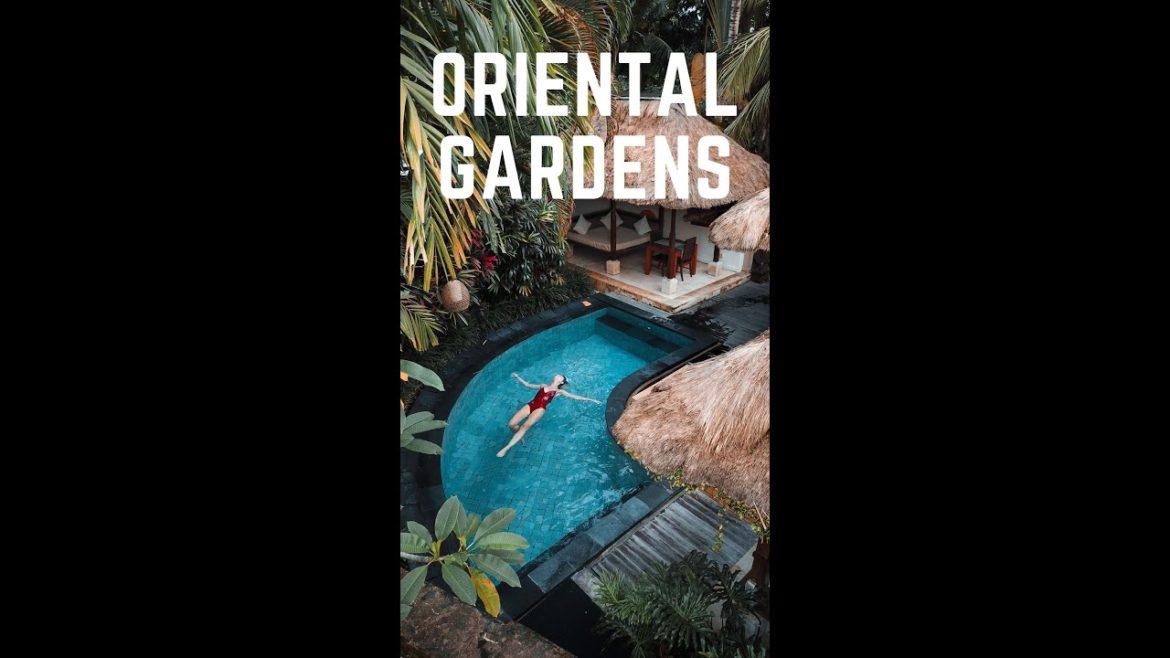 Oriental Gardens/ Landscape Design Ideas Renovation & Backyard Makeover #Shorts #YoutubeShorts Oriental Gardens/ Landscape Design Ideas Renovation & Backyard Makeover #Shorts #YoutubeShorts