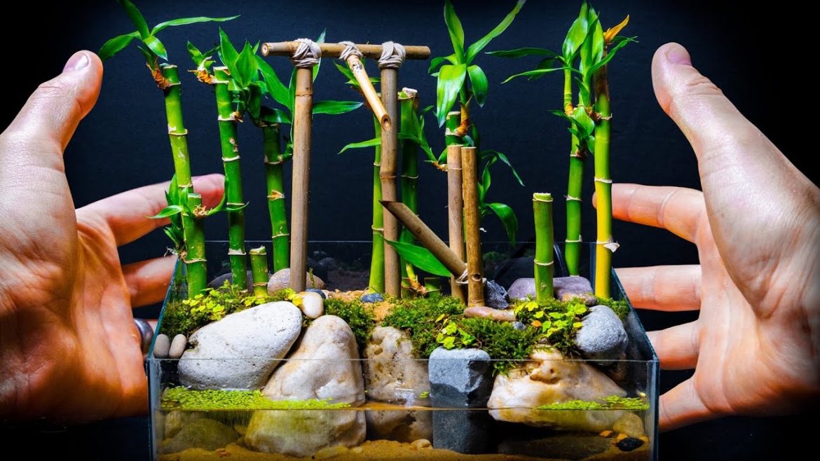 Micro Zen Water Garden and Moving Bamboo Fountain (DIY Shishi-Odoshi Landscape) Micro Zen Water Garden and Moving Bamboo Fountain (DIY Shishi-Odoshi Landscape)