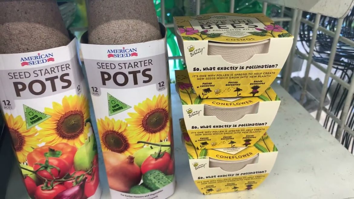 Dollar Tree Gardening Supplies Haul