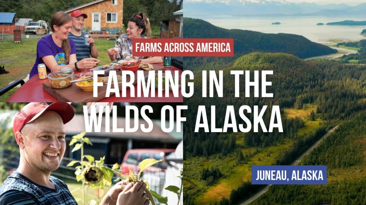 Growing Local Food for Local People in Alaska | Farms Across America Growing Local Food for Local People in Alaska | Farms Across America