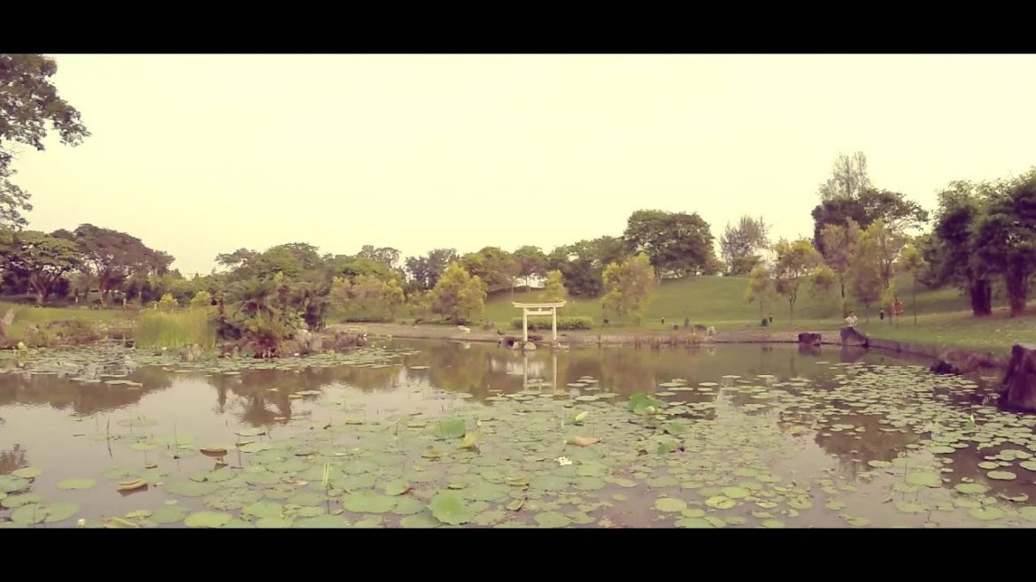 IRC XUGONG V2 PRO JAPANESE GARDEN