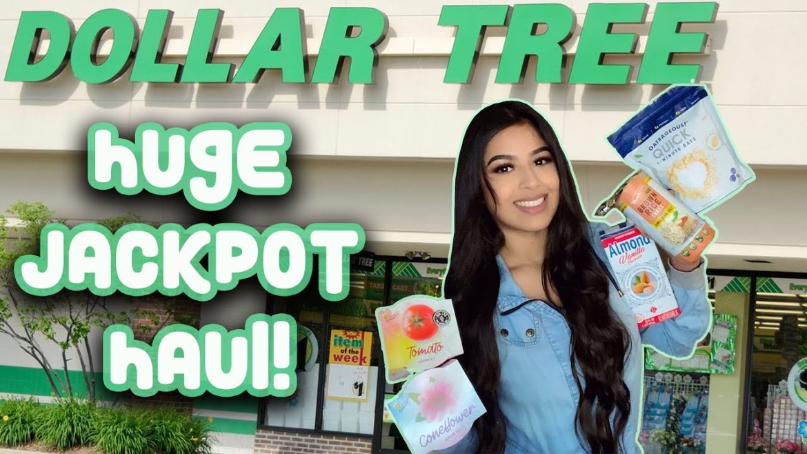 JACKPOT FINDS!! DOLLAR TREE HAUL | VEGAN FOOD/best eyelashes & new gardening supplies🌱