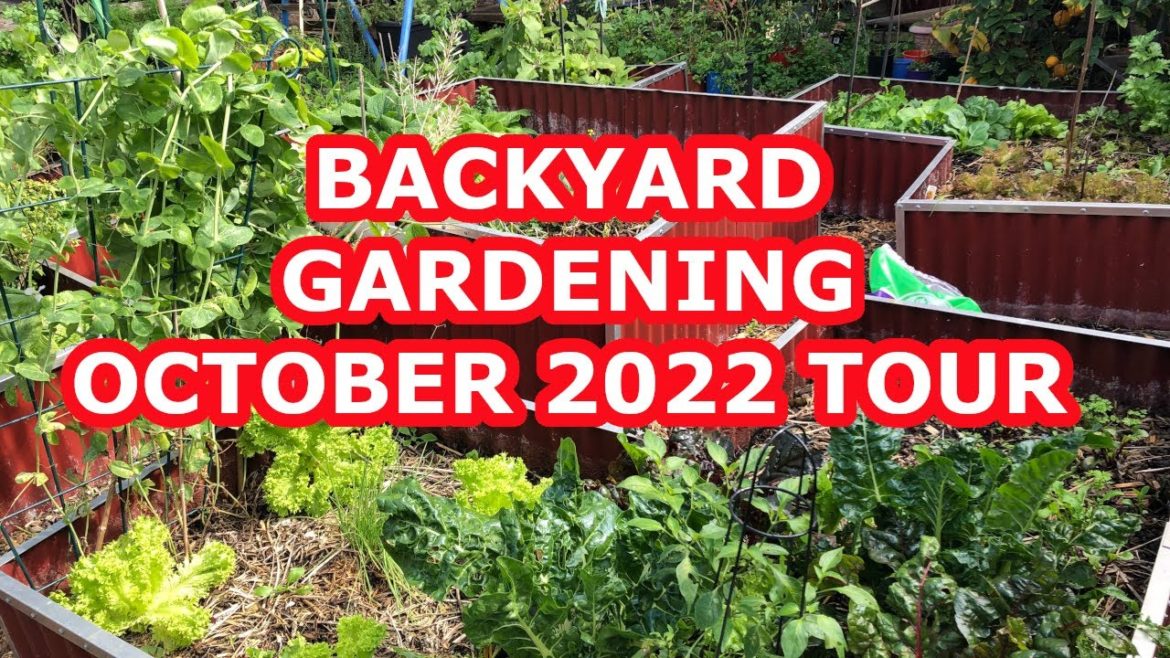 Backyard Gardening - October 2022 Tour #4kbackyardgardentour