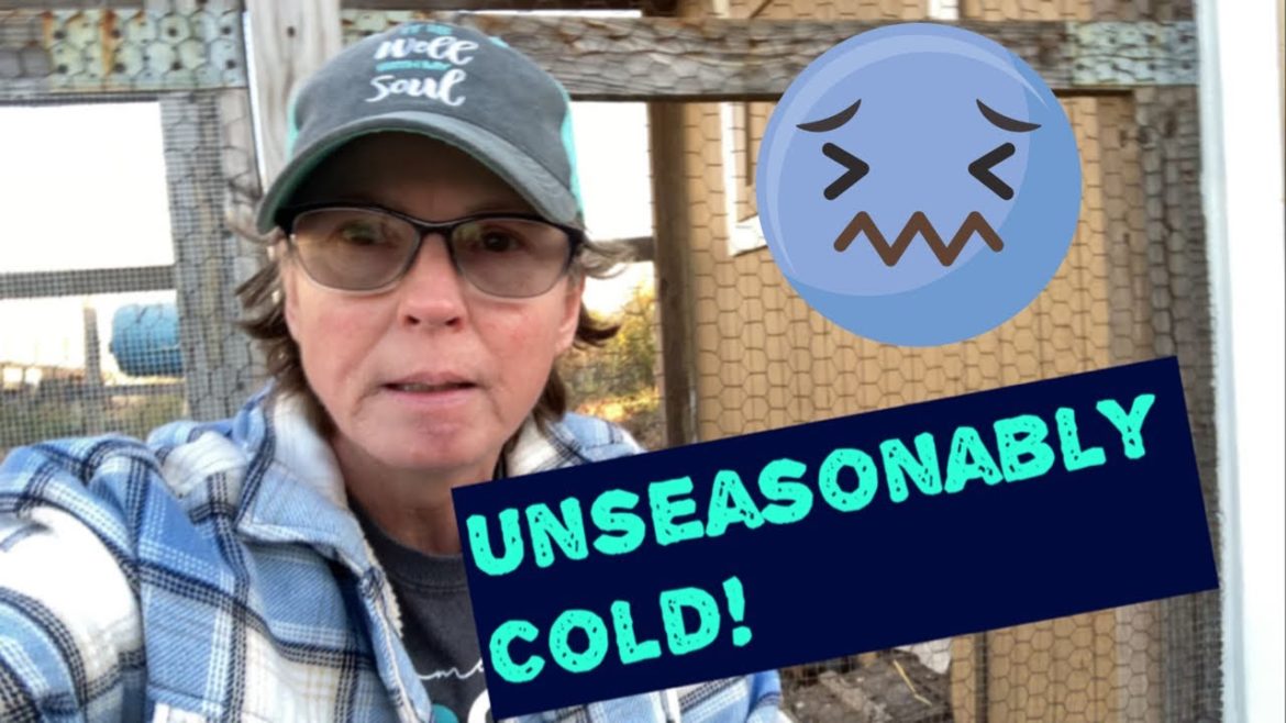 Did we hit freezing in North Texas? Fall garden update! BRRRR