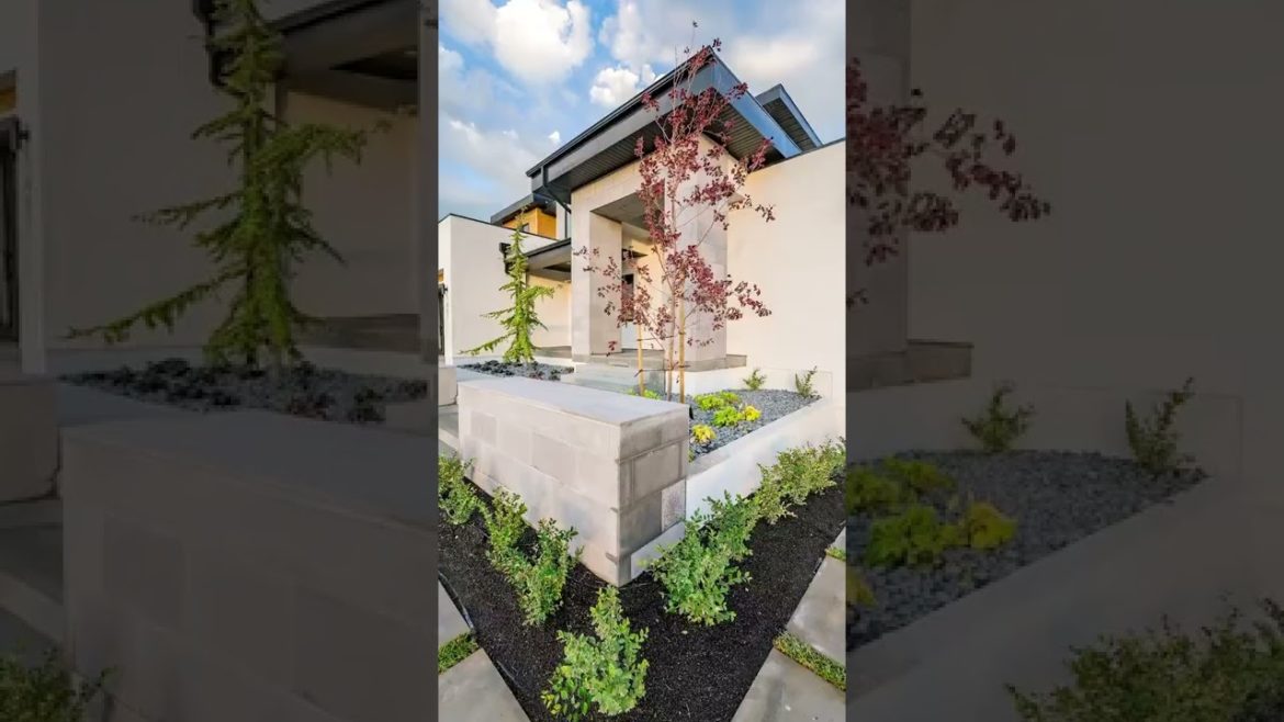 Dream Yard Landscaping Project Before and After | Big Rock Premium Landscaping And Design