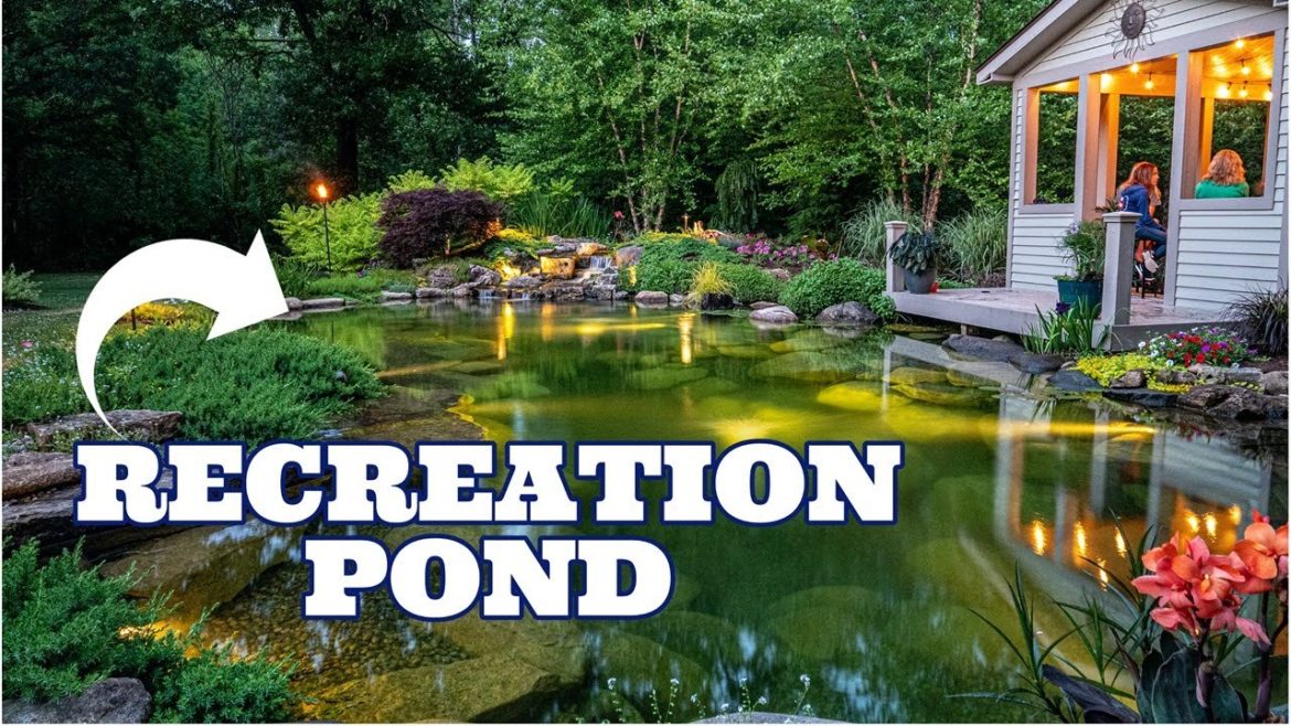 HOW MUCH does a RECREATION POND COST?? Swimming in a Natural Pool