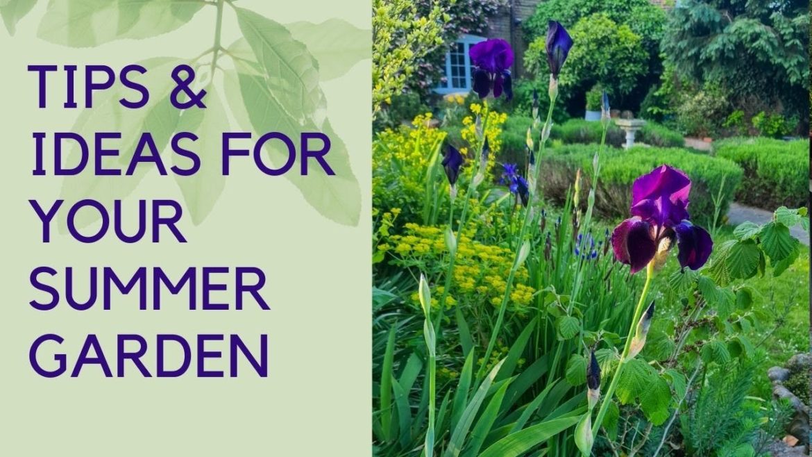 Early summer garden tips and tour - what to do in your garden now