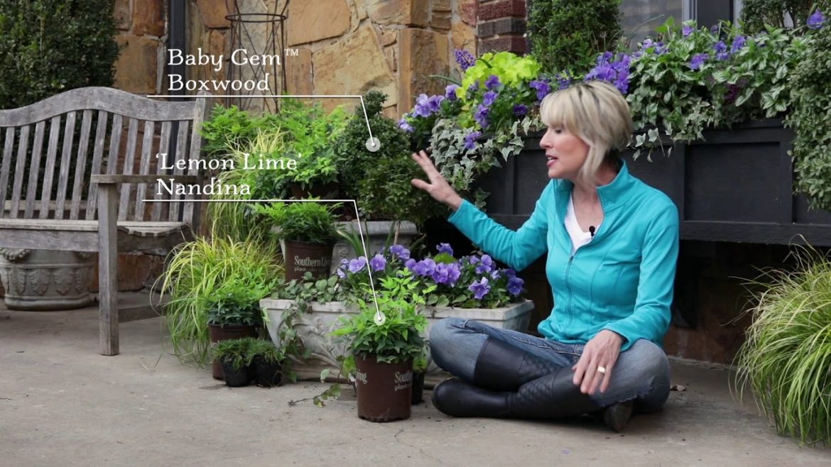 Container Gardening Ideas – Plant Combinations | Southern Living Plant Collection X Linda Vater Container Gardening Ideas - Plant Combinations | Southern Living Plant Collection X Linda Vater