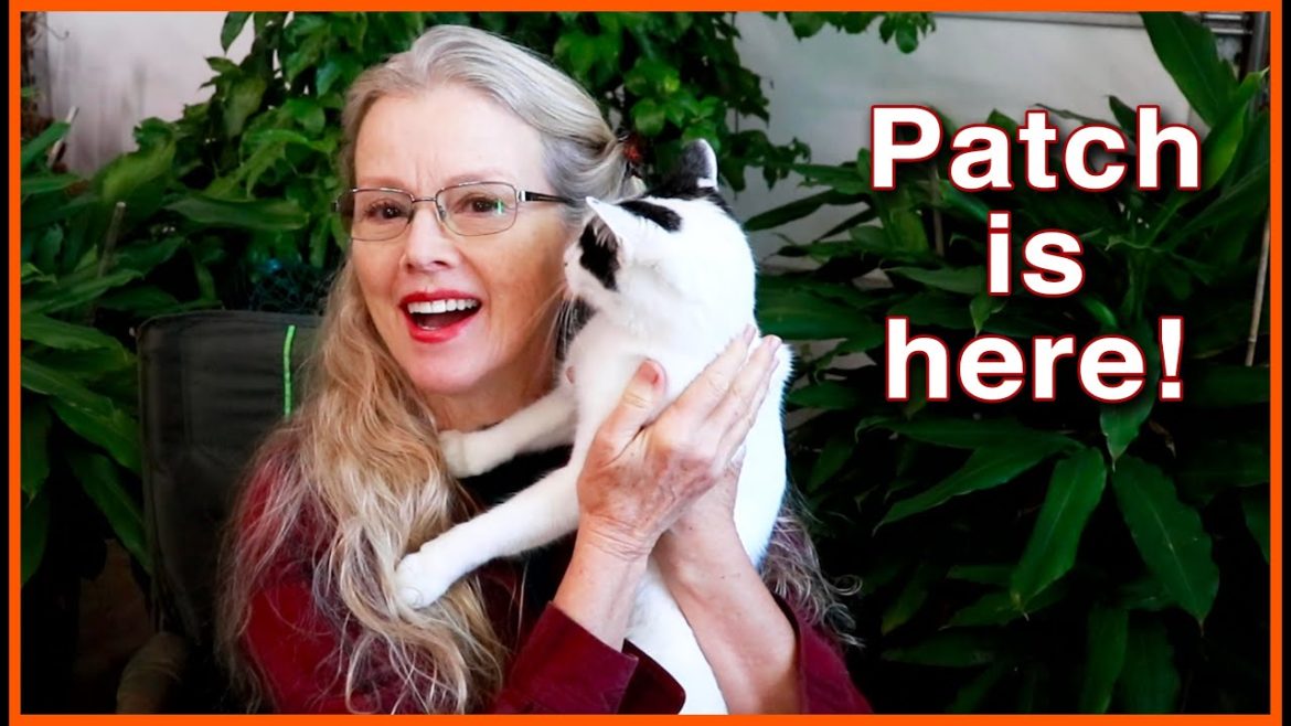 What happened to PATCH? Don't make THIS mistake!