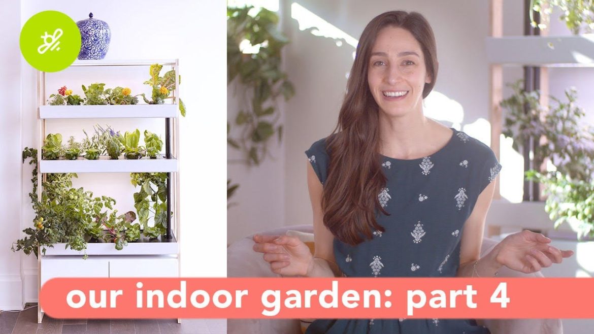 Experience Summary – Rise Gardens Part Four Experience Summary - Rise Gardens Part Four