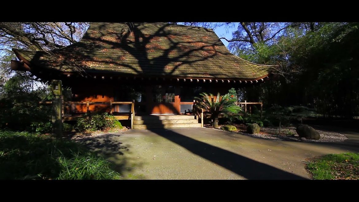 Japanese Garden, Micke Grove Japanese Garden, Micke Grove